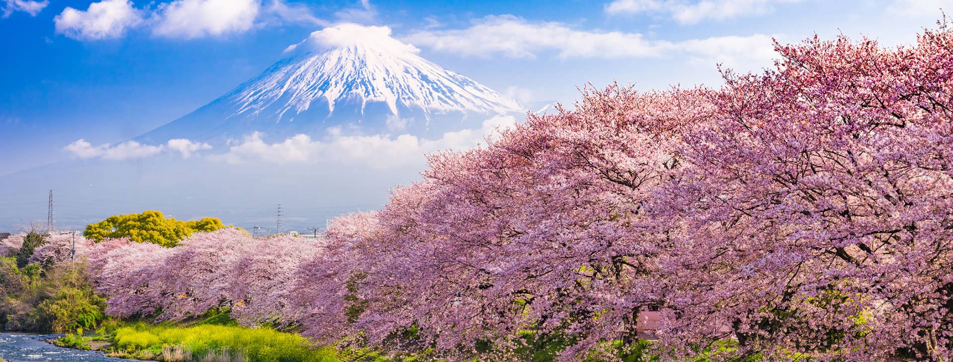 Photo couverture_japonais